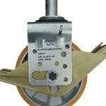 whatsapp image 2026 01 01 at 5.57.19 pm